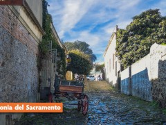 Feriadão 7 setembro Uruguai - Montevideo - Punta del Este - Piriápolis - Colônia Sacramento - Chui